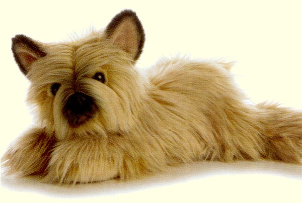 cairn terrier plush toy