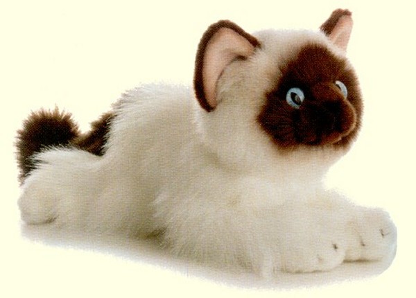 Aurora Lifelike Stuffed Plush Birma Kitten