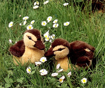 Kosen Piep Piep Lifelike European Brown Ducklings