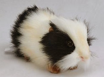 Stuffed Plush Black and White Guinea Pig