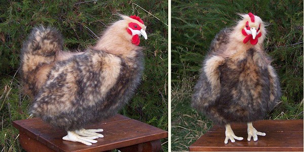 Hansa Stuffed Plush Araucana Hen