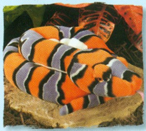 Wild Republic Stuffed Blair's Kingsnake