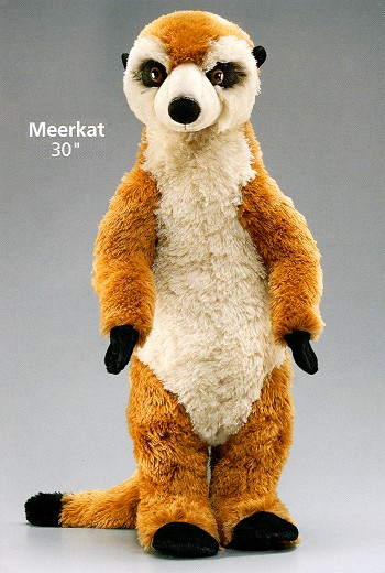 stuffed meerkat