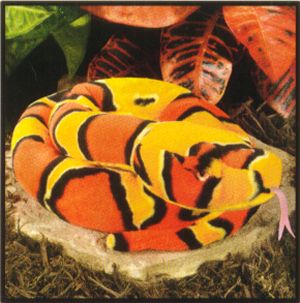 Wild Republic Stuffed Corn Snake