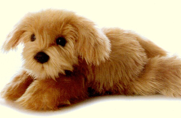 Aurora Lifelike Stuffed Plush Yorkipoo